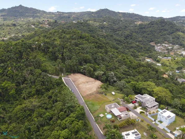 10.6 Km Pr #174, Bayamon, PR 00956