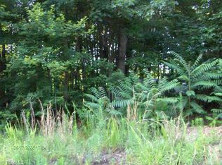 0 Westwood Rd, Hamptonville, NC 27020