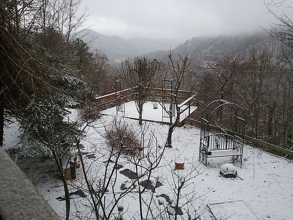 View in the winter