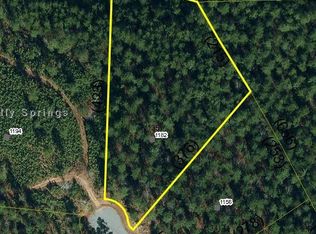 1182 Palomino Beach Ln, Connelly Springs, NC 28612