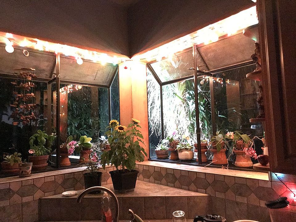 Kitchen grow window