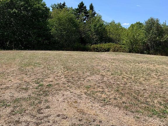 4th image of 126 Belleville South Rd