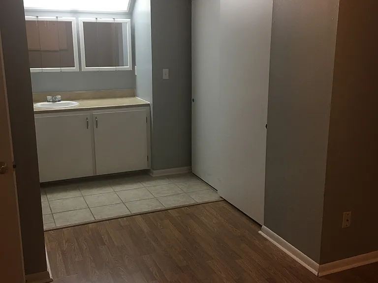 Master Vanity and closet