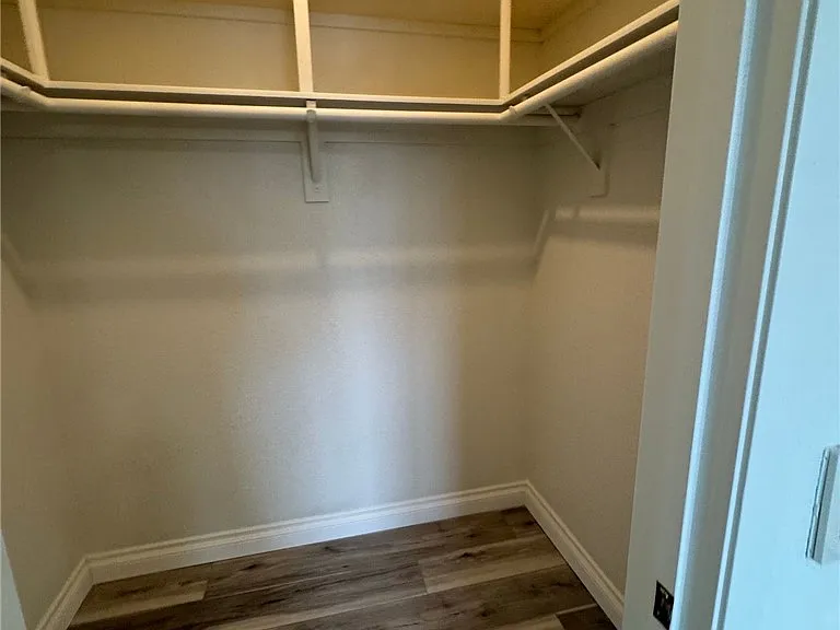 30431 Sparkle Dr — Photo 19