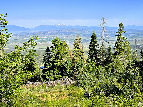 4th image of 12 Pine Ridge Estates Dr