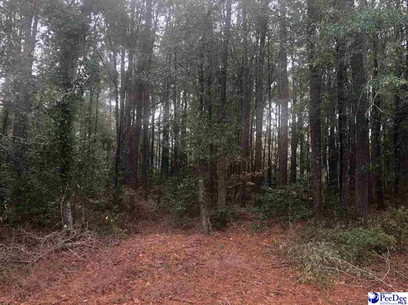 0 Pineland Cir, Hartsville, SC 29550