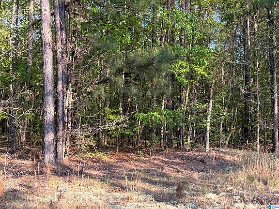 2nd image of 0 Piney Woods Rd #3