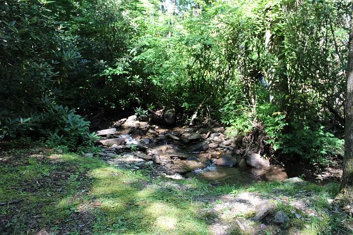370 Timberline Dr — Photo 20
