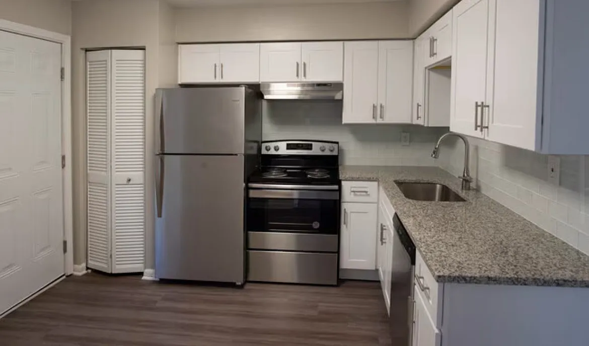 1 bed, 800 sqft, $1,125 — Photo 2