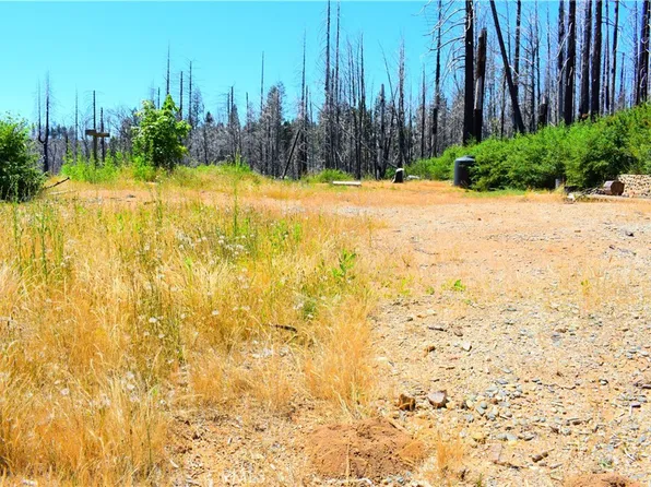 461 Milsap Bar Rd Lot 5, Berry Creek, CA 95916