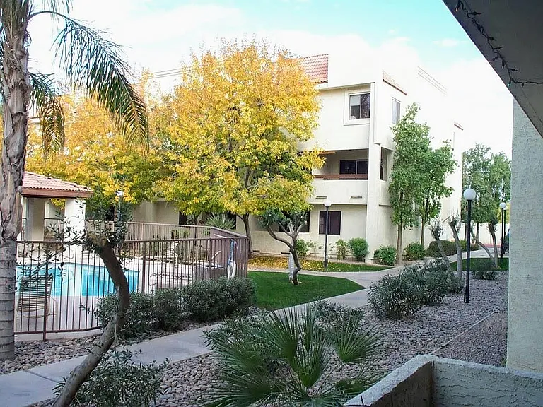 1215 E Lemon St #236 — Photo 22