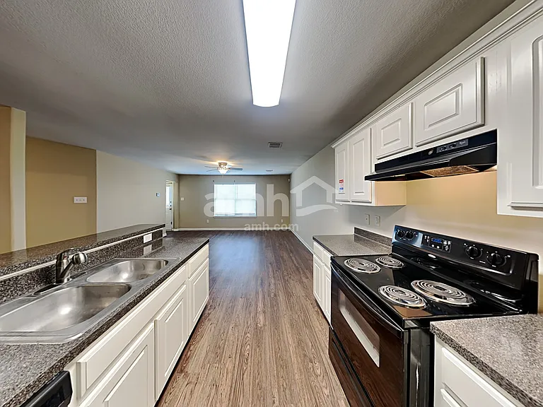 4407 Nueces River Loop — Photo 4