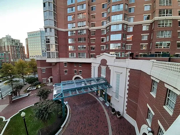2 bed, 980 sqft, $2,950 — Photo 2