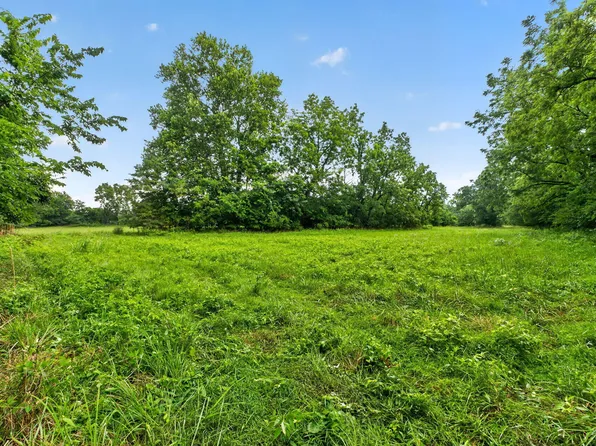 000 N Farm Road 53, Walnut Grove, MO 65770