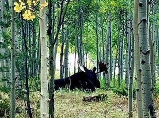 492 Aspen Ln, Black Hawk, CO 80422