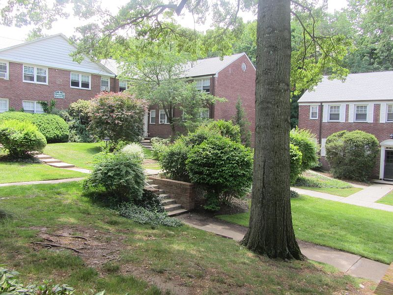 1st image of 349 Bloomfield Ave #39