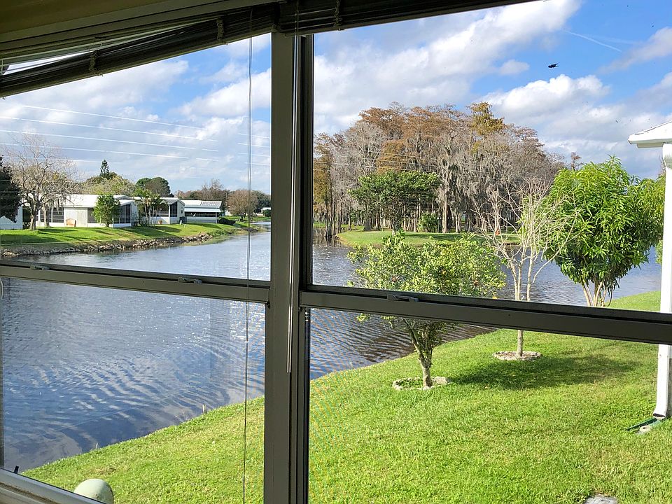 View from Florida room 