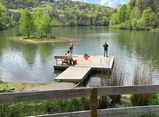 Nector Ct, Jasper, GA 30143