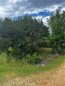 5696 County Road 28, Sawyerville, AL, 36776