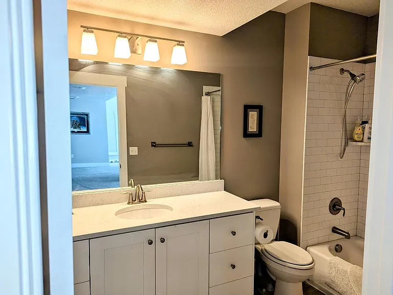 Lower level full bathroom.