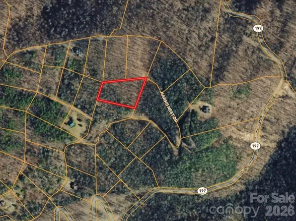 0 Hawks Nest Dr, Burnsville, NC 28714
