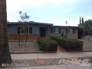 9248 E Palm Tree 002