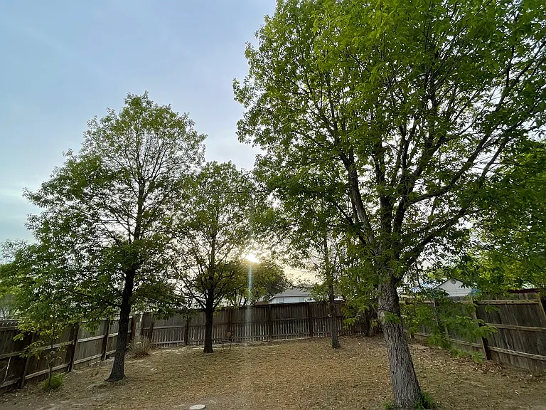 1423 Diamond Blf — Photo 3