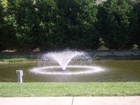 1 of 2 Ponds