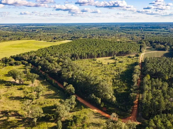 0 Bell Crossing Rd, Opp, AL 36467