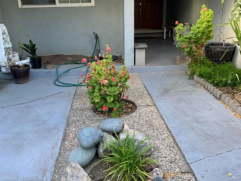 Front yard