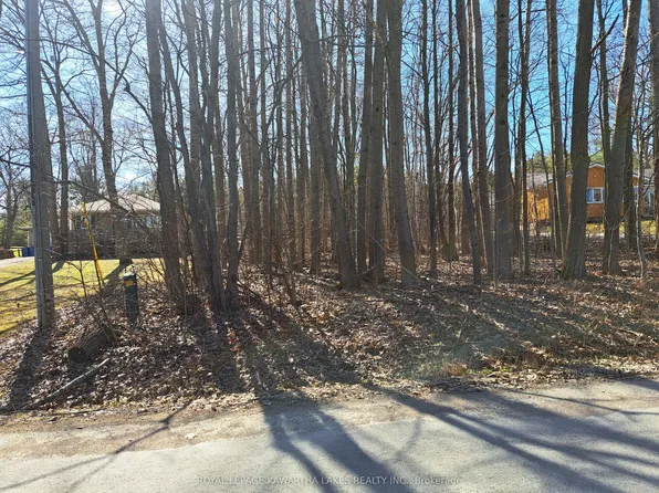 0 Poplar Dr, Otonabee South Monaghan, ON K0L 2G0