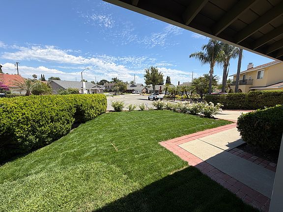 4th image of 545 Cycod Pl