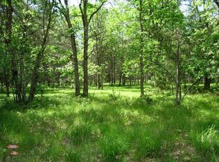 Pine Lake Rd, Wellston, MI 49689