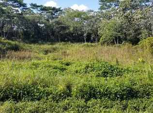 13th Avenue Kukui, Keaau, HI 96749