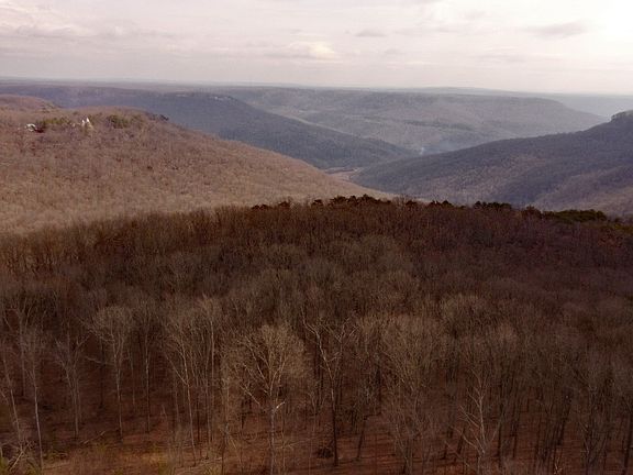 5th image of 0 Ravens Den Rd #8