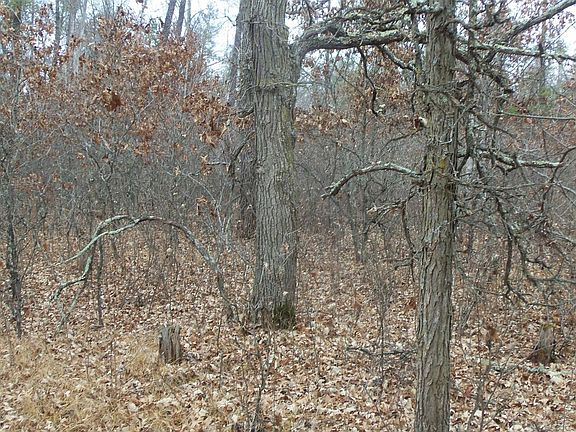5th image of 8 Canute Creek Trl