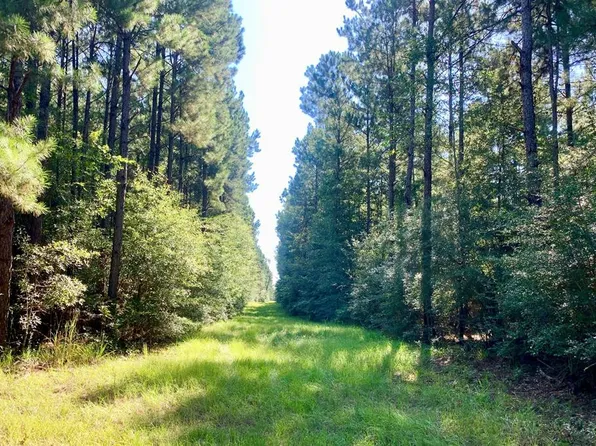 0 Irene Rd, Summit, MS 39666