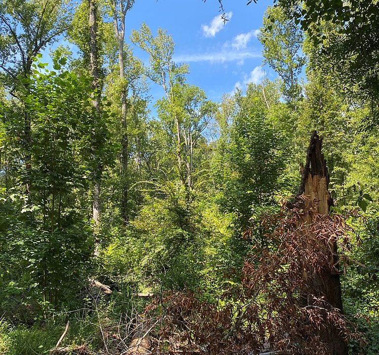 LOT 217 Crooked Creek Rd, Eatonton, GA 31024 MLS 48322 Zillow