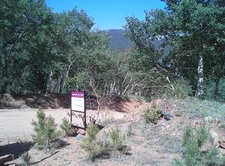 54 Lakeview Rd, Bailey, CO 80421