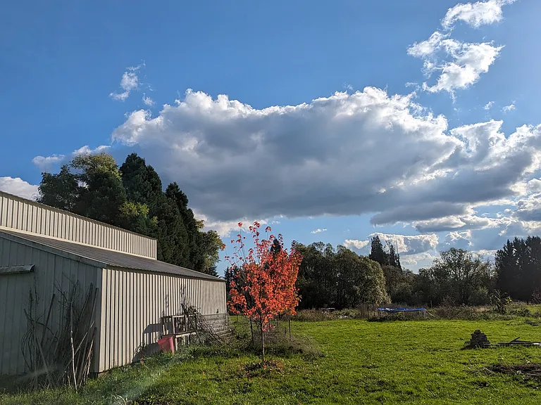 19105 NE 112th Ave — Photo 44