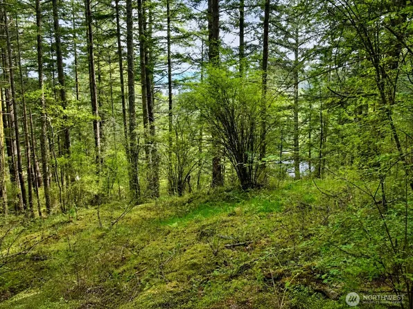 0 XXX Garden Lane, Orcas Island, WA 98279