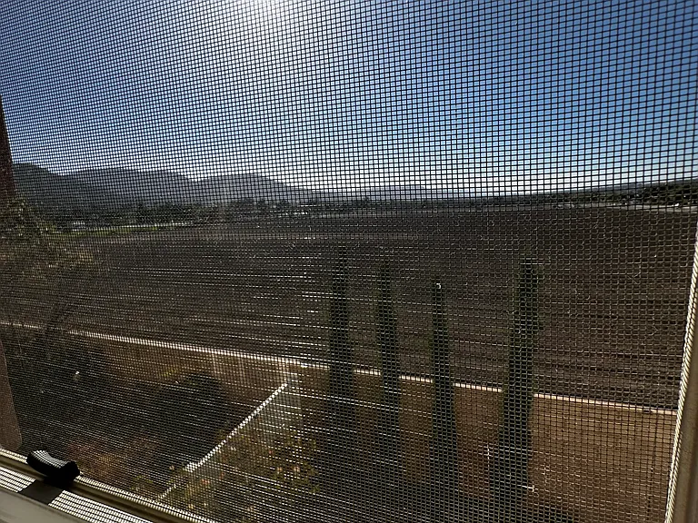 31828 Green Oak Way — Photo 10