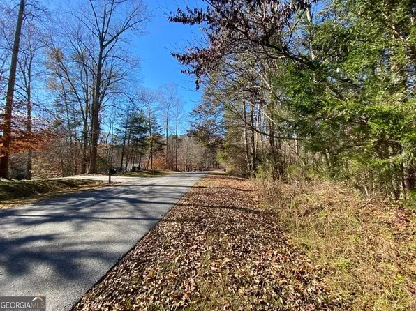 113 Peninsula Point, Martin, GA 30557