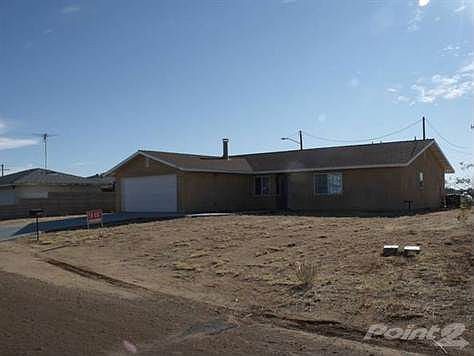 20418Paine