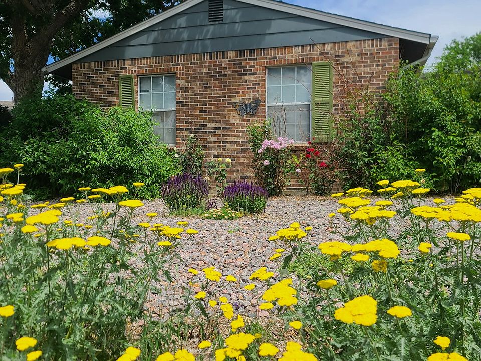 Front Yard