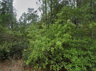 107 Glenside Street, Georgetown, FL 32139