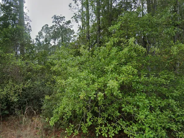 107 Glenside Street, Georgetown, FL 32139