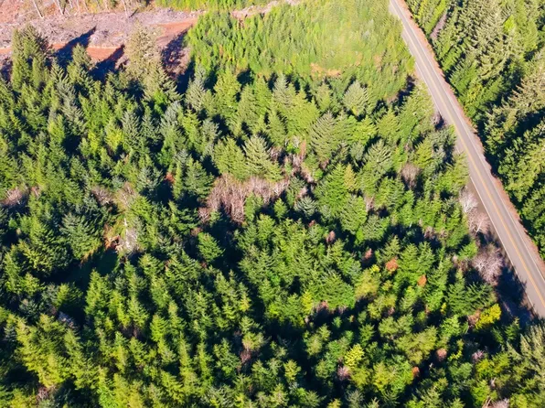 59000 W Beaver Hill Rd, Bandon, OR 97411