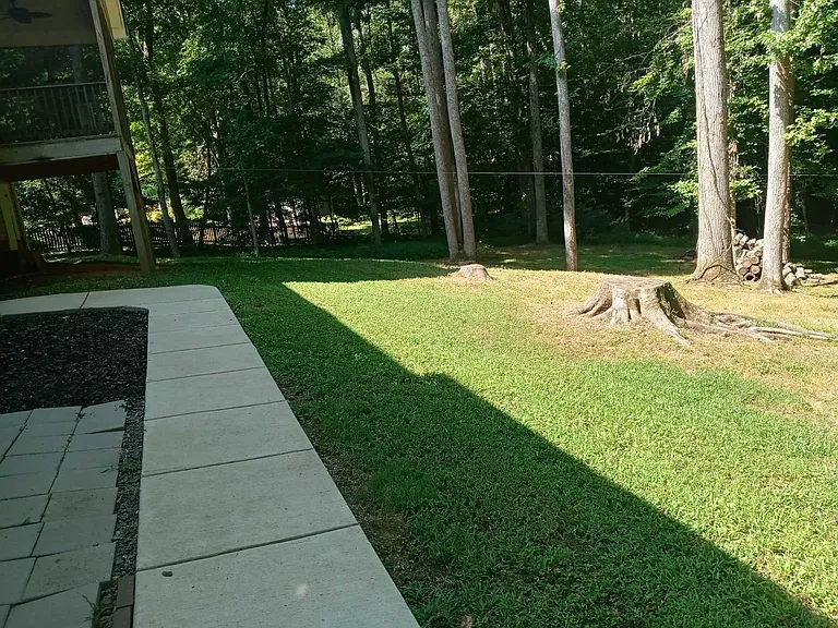 7843 Spencer Brook Dr — Photo 11