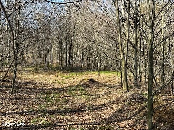 4th image of PARCEL 31 Glory Ridge Rd